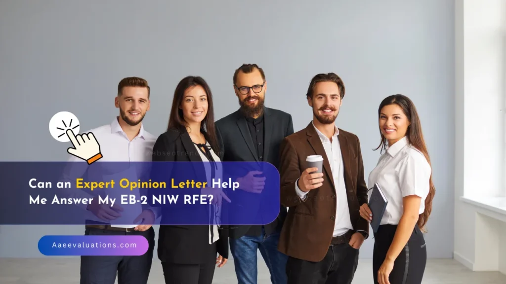 Expert Opinion Letter (RFE)